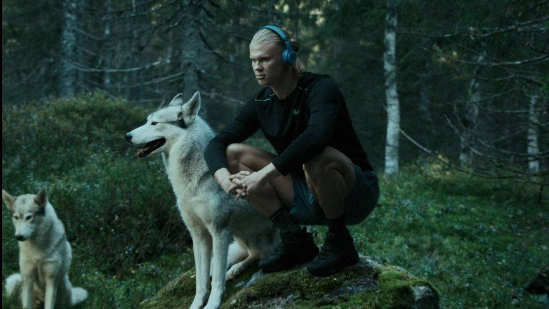 为球队带来 为球队带来