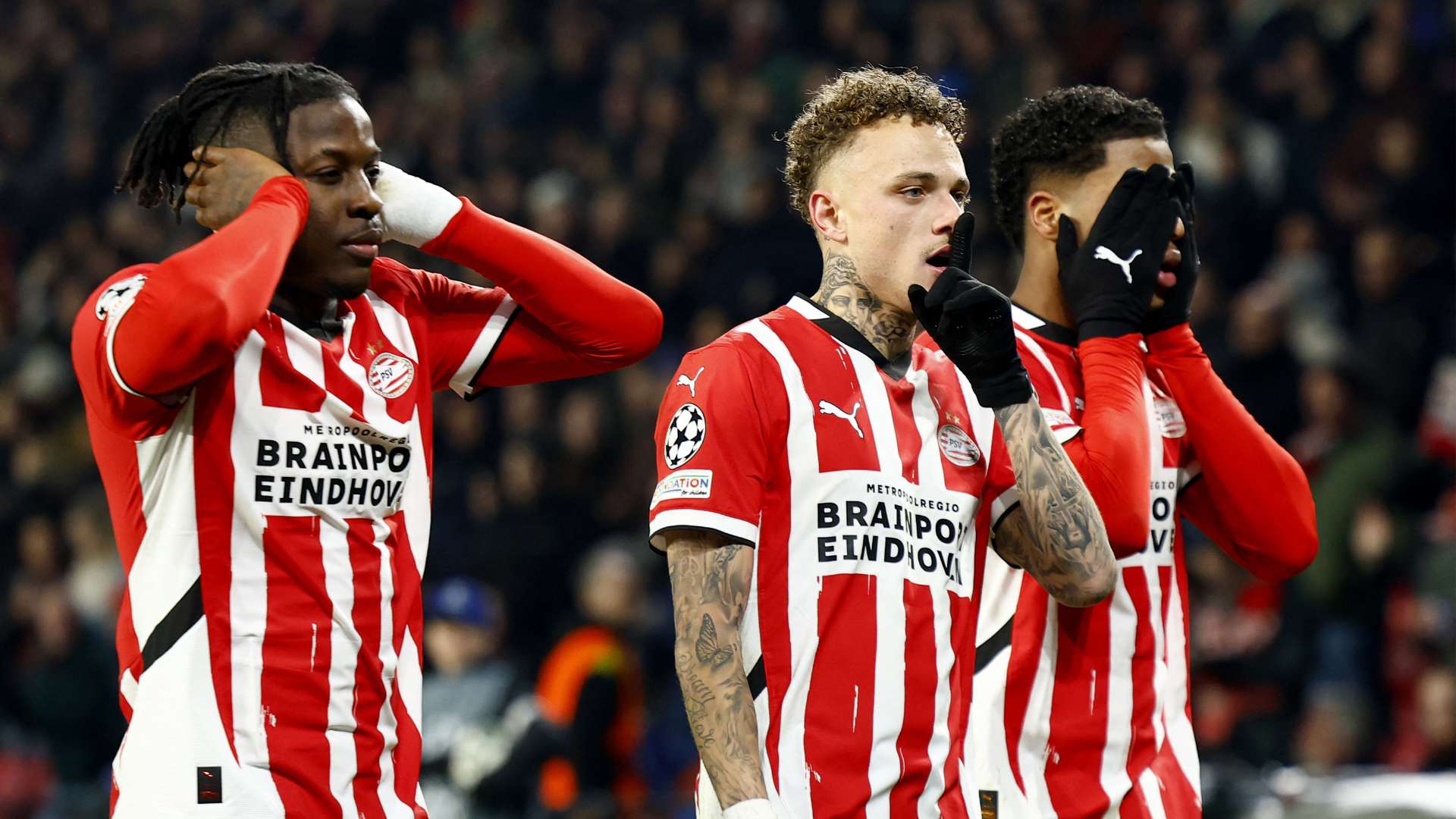 新星崛起 新星崛起